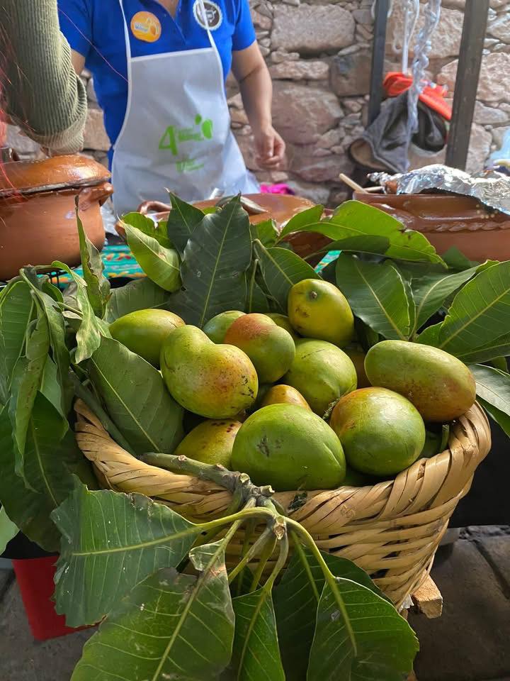 guanajuato's tweet photo. 🥭Mango y más mango,  para los amantes de esta fruta tan dulce y deliciosa te invitamos al 𝟔𝐭𝐨 𝐅𝐞𝐬𝐭𝐢𝐯𝐚𝐥 𝐝𝐞𝐥 𝐌𝐚𝐧𝐠𝐨 🥭🍃📍en Magallanes, Pénjamo ☺️ ¿Cuándo? Anoten: 18 y 19 de julio 🗓️ desde las 8 am,  te encantará la deliciosa comida hecha con esta fruta, música en vivo, artesanías, talleres, callejoneada 🎶 y mucho más 😌.