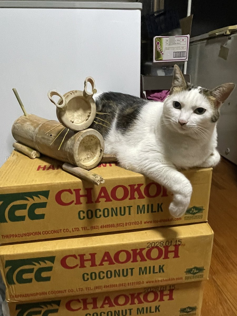 semakute_169's tweet photo. 端材で猫上司も作成 https://t.co/Fmtr2z6M7D