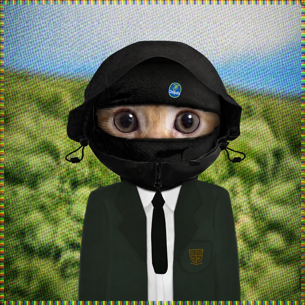 realhoodcat's tweet photo. https://t.co/YObY9LEzFv