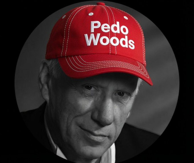Wadsworthbuttle's tweet photo. The pedo defenders are always pedos themselves, right @RealJamesWoods https://t.co/v3rq5axame