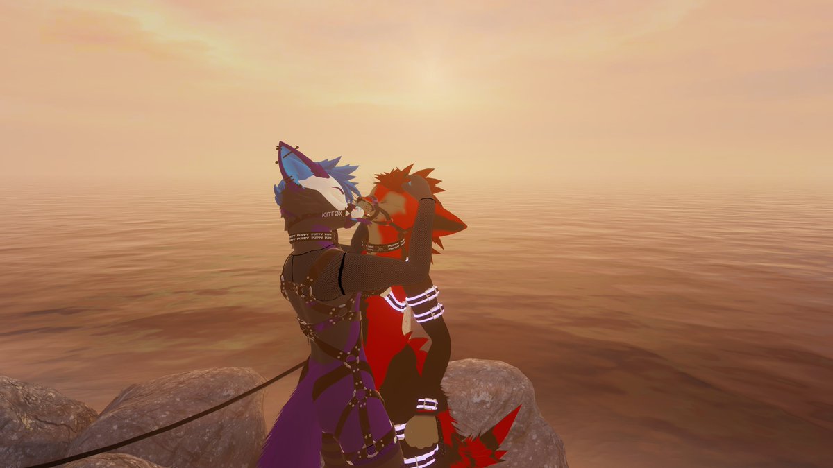 rel1cfox's tweet photo. Who knew purple and red go together so well :3

🧀: @TheroTheSergal https://t.co/bj1A8Lfkfj
