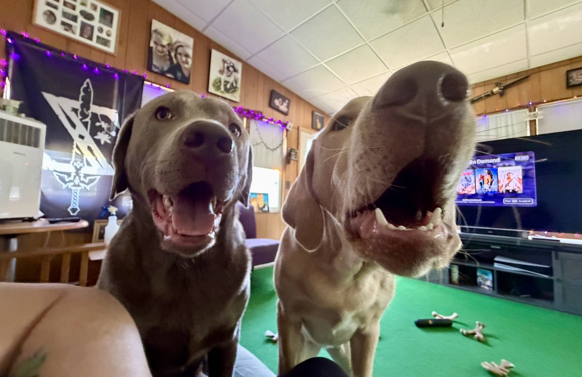 Jackson & Willow tweet media