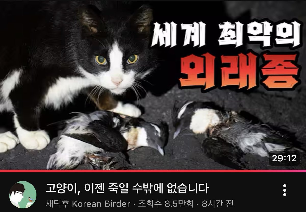 catpawdev's tweet photo. 길고양이 벼랑 끝까지 모는 재주가 남다른 새덕후 동물학대가 만연한 대한민국에서 길고양이 이젠 죽일 수 밖에 없다는 게 할 말이냐? 대체 전문가도 아닌 일개 유튜버를 방송에 불러서 지식의 발견이라며 제인구달 이름을 빌려 헛소리 내보내는 건 머임
김명철이랑 나응식은 외 조용함;; 진짜 개빡쳐 https://t.co/j4R7l0Y1F4