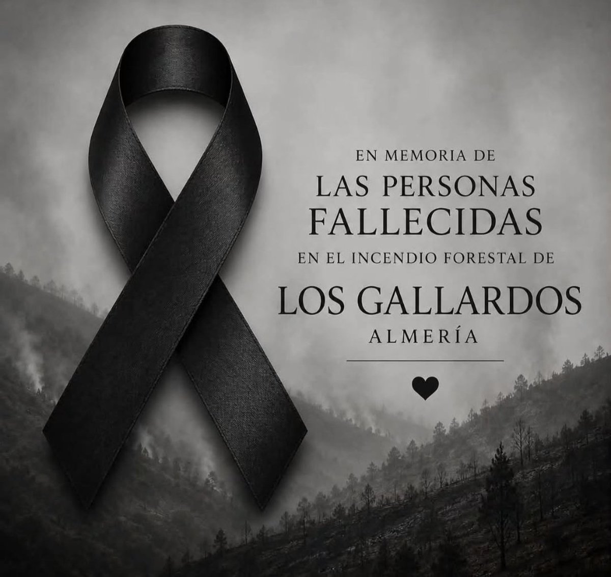 JusapolSocial's tweet photo. Nuestro más sentido pésame. Nuestro más cálido abrazo. Nuestro reconocimiento a los intervinientes. Mucha fuerza. 😔 https://t.co/Zz4gF6F3WJ
