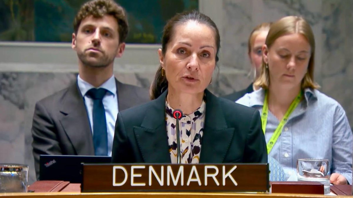 Denmark in UN NY🇩🇰 tweet media