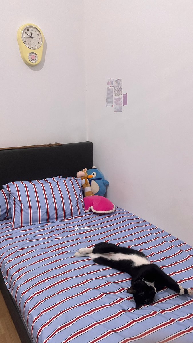 sukakuchiang's tweet photo. uhm, jadi aku tidur dimanaa?? https://t.co/Z2J2m1K4nV
