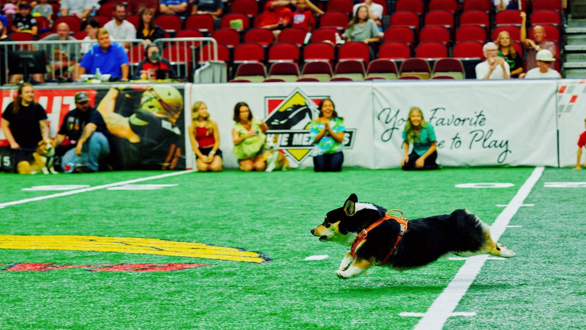 Iowa Barnstormers tweet media