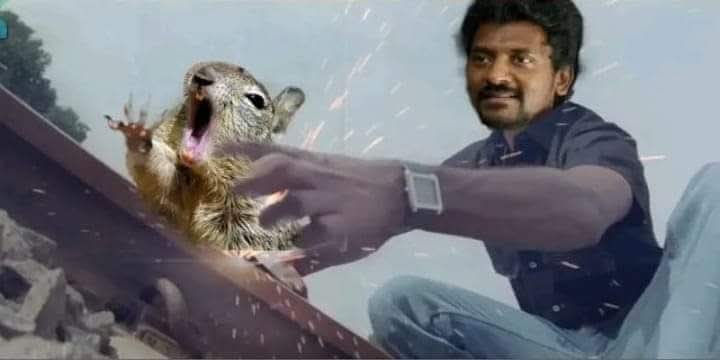 maahemaha1998's tweet photo. Motha anilum vanthuduchu 🤣🤣 kadikka https://t.co/qs7JtSMjBv