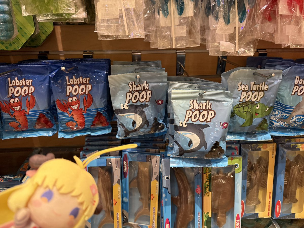 ranmasama's tweet photo. @tsunomakiwatame Cheer up Watame! Here’s something funny I found in Las Vegas! https://t.co/7IyWWGP9FD
