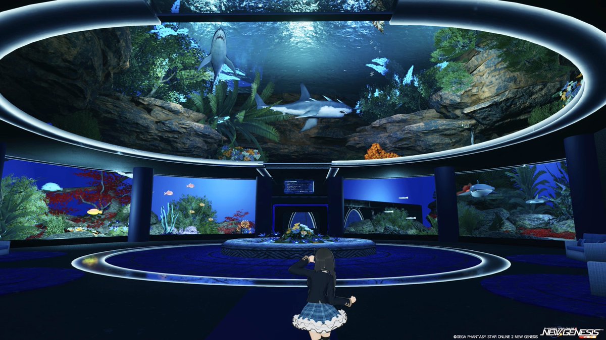 lilia_pso2's tweet photo. カナンさんの水族館がリニューアルオープンしたよー！美しい円形のアートなデザインの水族館でとても綺麗だよー！めっちゃおすすめー！

CS名:宵紅水族館
Ship04 896790 385762
御月カナンさん
タグ:水族館　水槽

#PSO2NGS
#クリエイティブスペース https://t.co/rhsUOyfCFC
