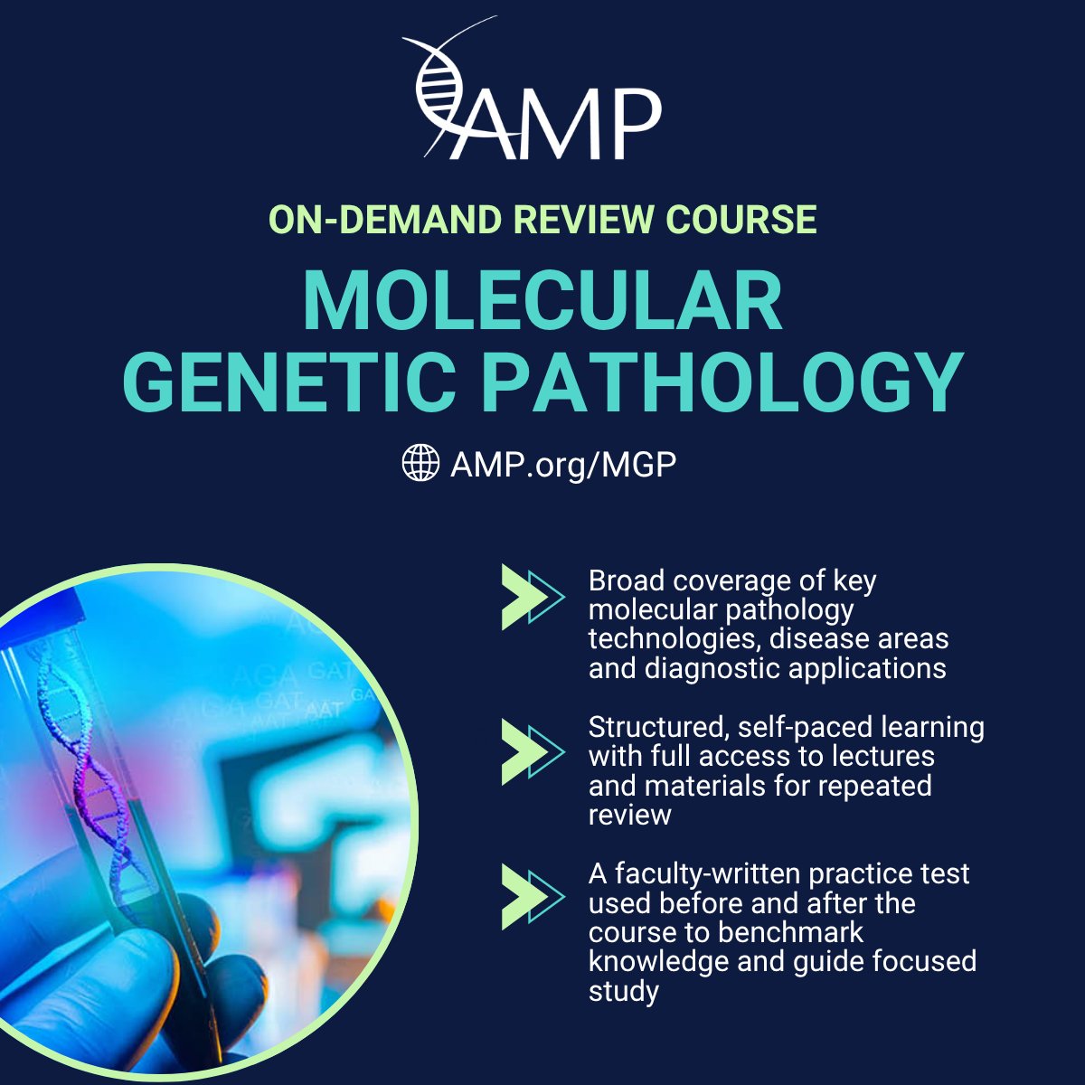 AMPath's tweet photo. Our on-demand MGP review course's curriculum and faculty-written practice test make a difference:

➡️ 91% of participants said it guided their exam prep or found review areas for their clinical practice.

➡️ 92% said it increased their confidence

Info: https://t.co/kSXcTVsppa https://t.co/8QYViYWjzW