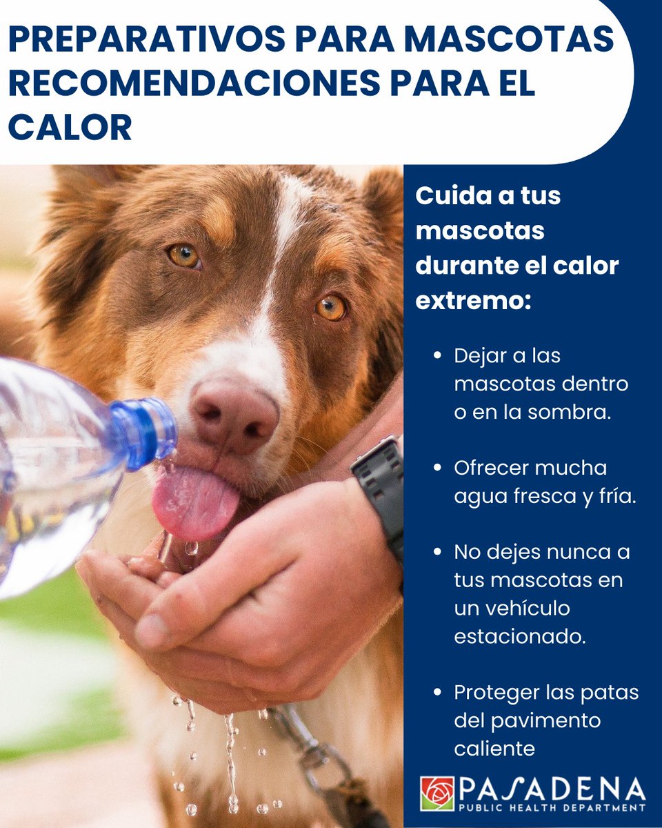 PasadenaGov's tweet photo. Heat affects animals quickly, so make sure pets are safe from extreme heat. For more information, visit: https://t.co/GPckVFplEz. https://t.co/14wuAhhyqR