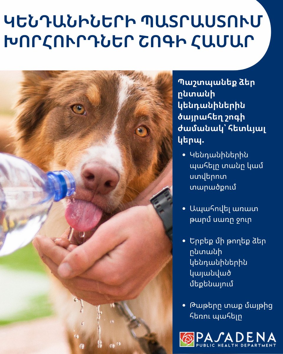 PasadenaGov's tweet photo. Heat affects animals quickly, so make sure pets are safe from extreme heat. For more information, visit: https://t.co/GPckVFplEz. https://t.co/14wuAhhyqR