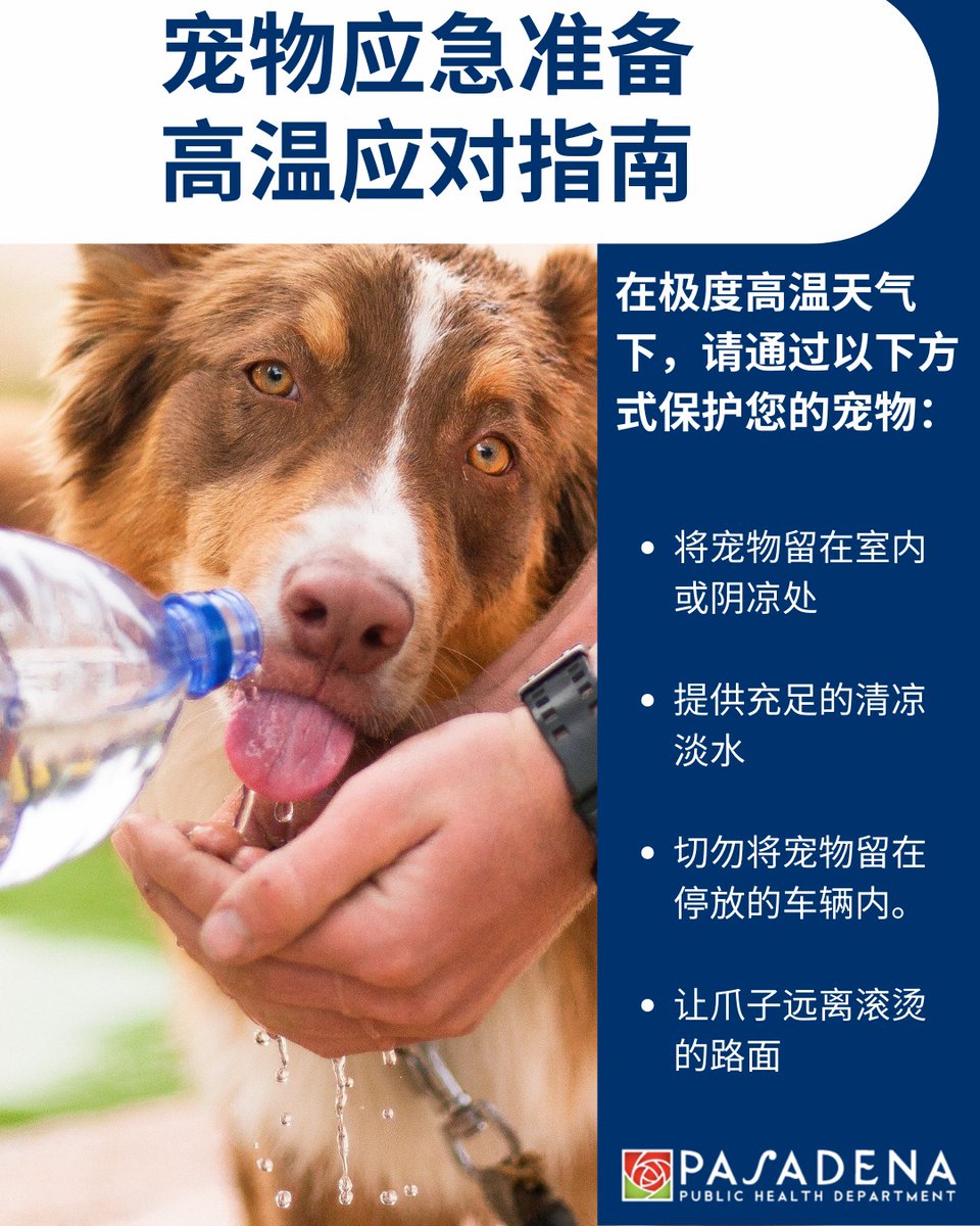 PasadenaGov's tweet photo. Heat affects animals quickly, so make sure pets are safe from extreme heat. For more information, visit: https://t.co/GPckVFplEz. https://t.co/14wuAhhyqR