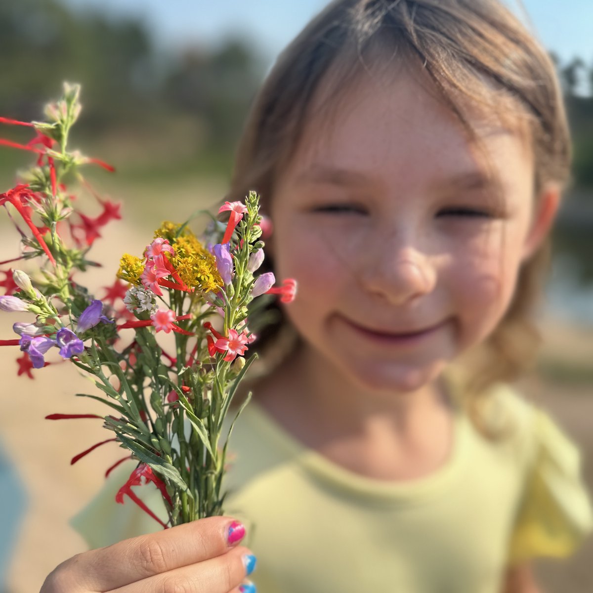 ChrisJeub's tweet photo. Drought summer in Colorado. The wildflowers are still coming up on the trail by Monument Glamping anyway. My granddaughter picks a bouquet for her grandmother every morning. The land keeps giving if you slow down enough to notice. https://t.co/qPnxLWw59K