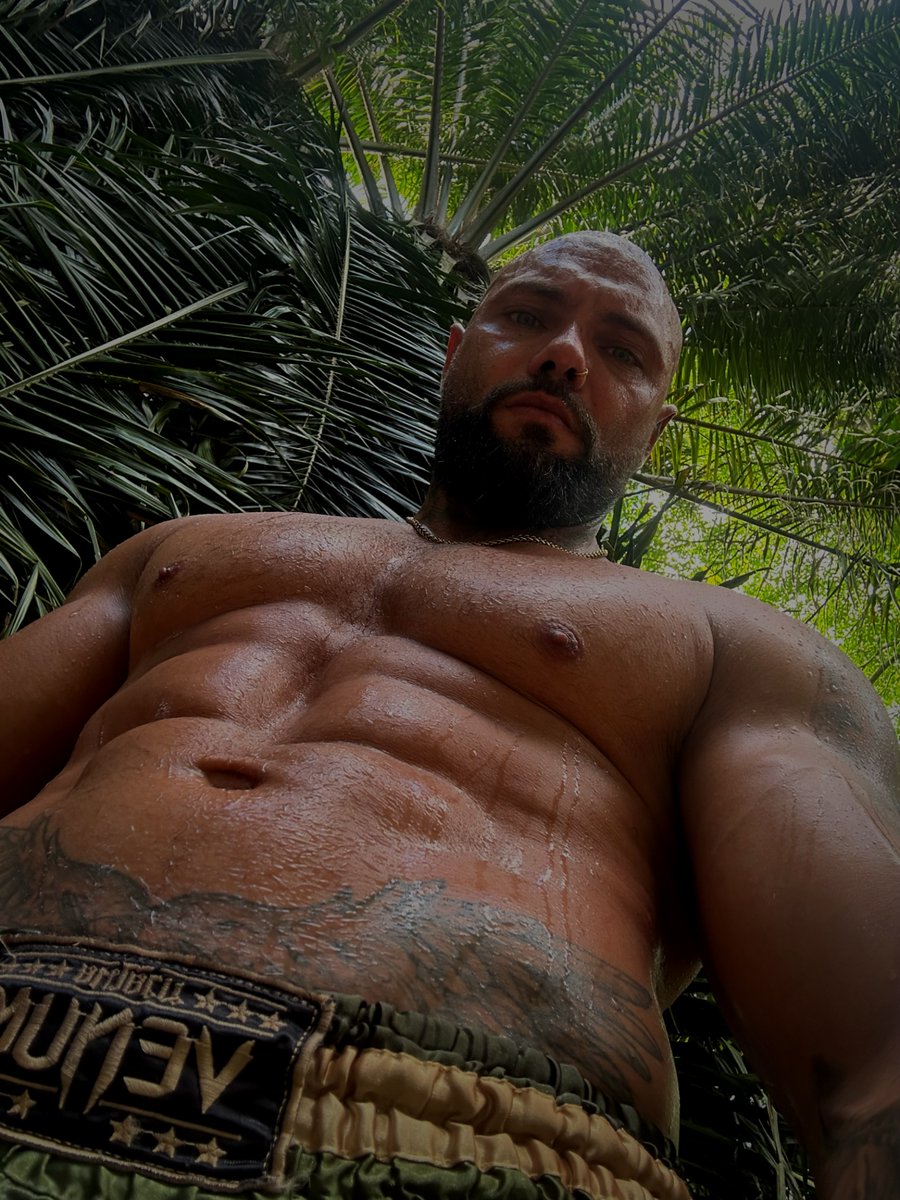 RYAN JAMES XXL tweet media