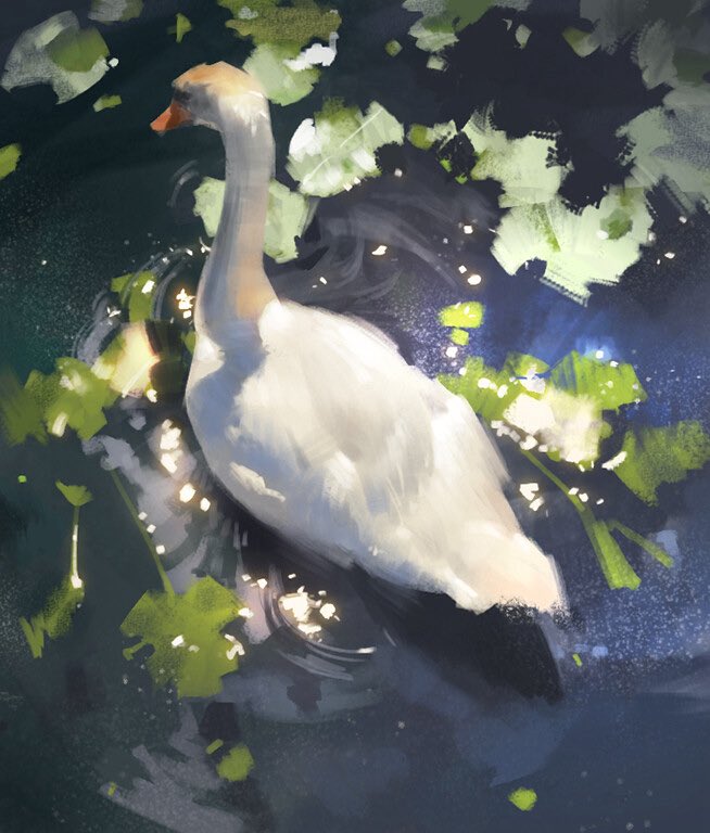 LeeZUDartS's tweet photo. Daily practice. I’ve always loved swans. https://t.co/uQ8lqtLW25