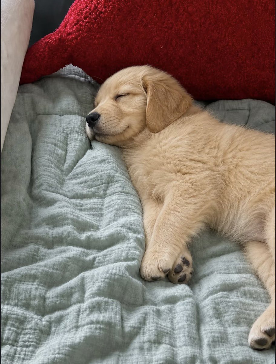 twaniimals's tweet photo. https://t.co/UAmV43qluN
