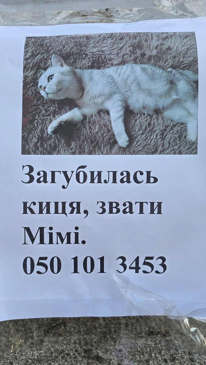 Oleksa_line's tweet photo. Побачила таке оголошення, може хтось побачить кицю

Київ, центр https://t.co/SBScEXUo1t