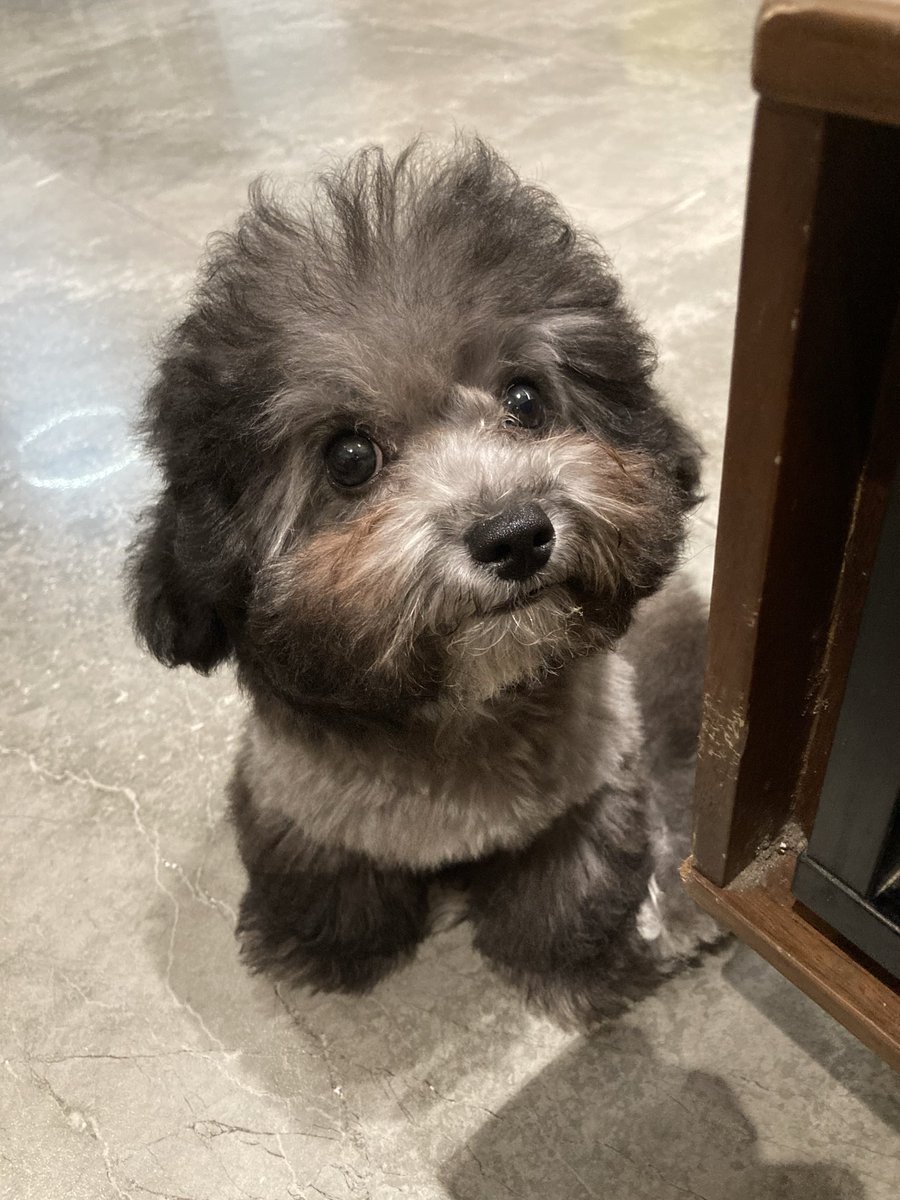 CJLsnrt's tweet photo. Sooooooooooo cute🥰🥰🥰🥰 https://t.co/tzWxZa5tWQ