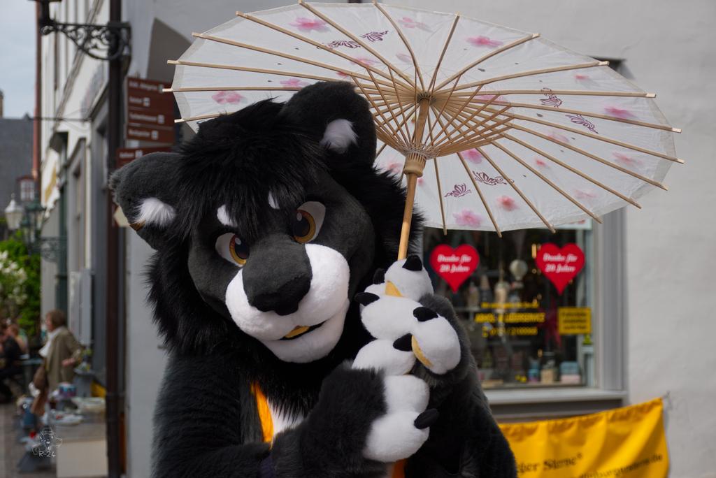 sir_sniffles's tweet photo. It's dangerous to go alone, take this parasol ☀️🦁

📸 @/r.smr_24 on Insta

#fursuitfriday https://t.co/BCU1kM2g2N