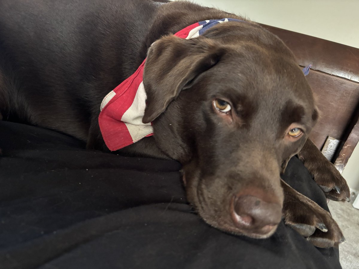 DragonmasterETH's tweet photo. Quant says this weekend will be yuge,

Lock in https://t.co/K3mLNgzk4R