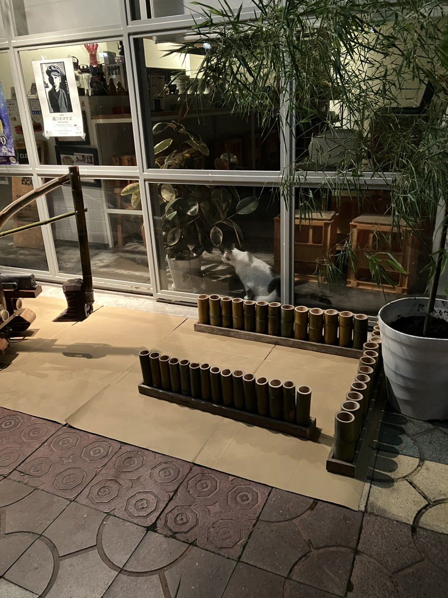semakute_169's tweet photo. ラック副社長に見守られながらラストスパート！

審査日当日の朝4時まで頑張ってました😅

いろいろありましたが、
楽しく作った１ヶ月半だったようです👍🏻 https://t.co/vGcxIiQp00