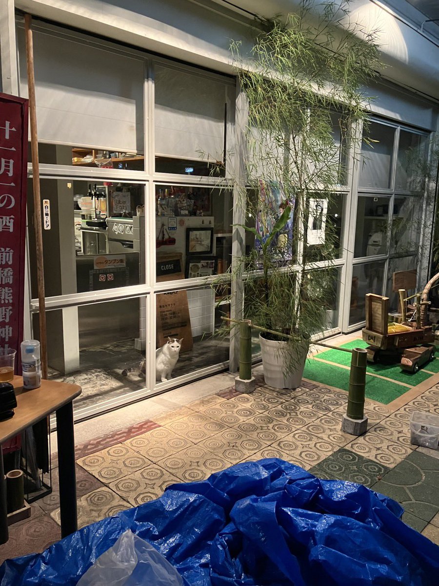 semakute_169's tweet photo. ラック副社長に見守られながらラストスパート！

審査日当日の朝4時まで頑張ってました😅

いろいろありましたが、
楽しく作った１ヶ月半だったようです👍🏻 https://t.co/vGcxIiQp00