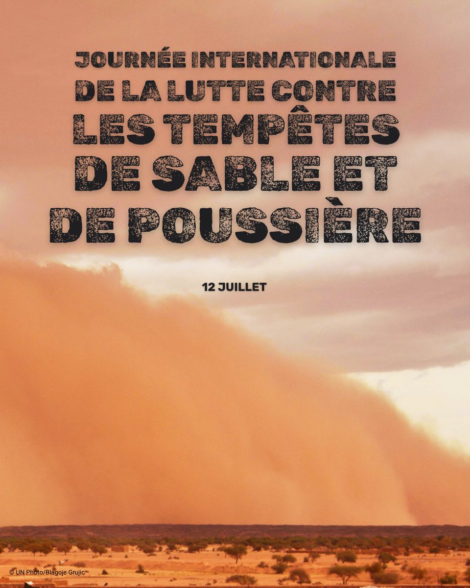 ONU_fr's tweet photo. Chaque année, les tempêtes de sable et de poussière touchent 330 millions de personnes.

Elles nuisent à la santé, aux cultures et aux infrastructures.

Dimanche, c’est la Journée internationale de la lutte contre les tempêtes de sable et de poussière.

via @FAOenFrancais https://t.co/QGlKB7wgRu