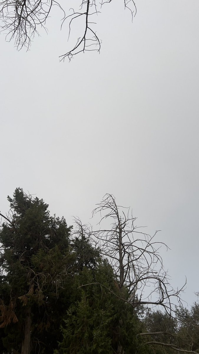 ___ii59 tweet picture