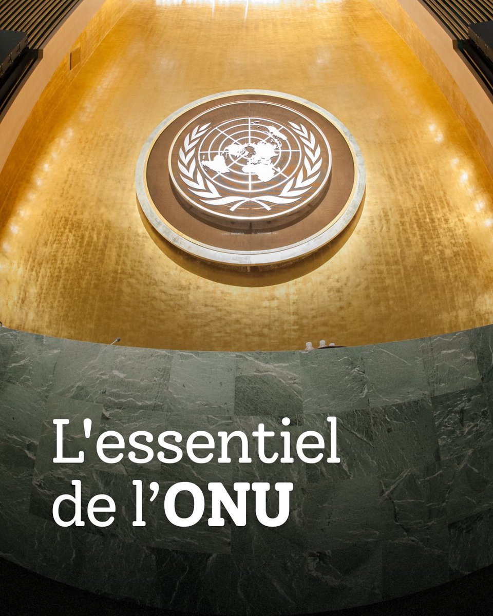 ONU_fr's tweet photo. L’ONU œuvre chaque jour pour :

🇺🇳 Nourrir les personnes dans le besoin
🇺🇳 Vacciner les enfants
🇺🇳 Promouvoir le développement
🇺🇳 Protéger les civils
🇺🇳 Soutenir les personnes déplacées
🇺🇳 Faire avancer les droits humains

Et bien plus encore.
https://t.co/EykFo145dH https://t.co/fvrQY4F2D0