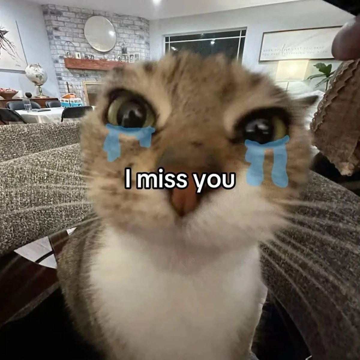 catofsouls's tweet photo. https://t.co/ZiWSBY1F4n