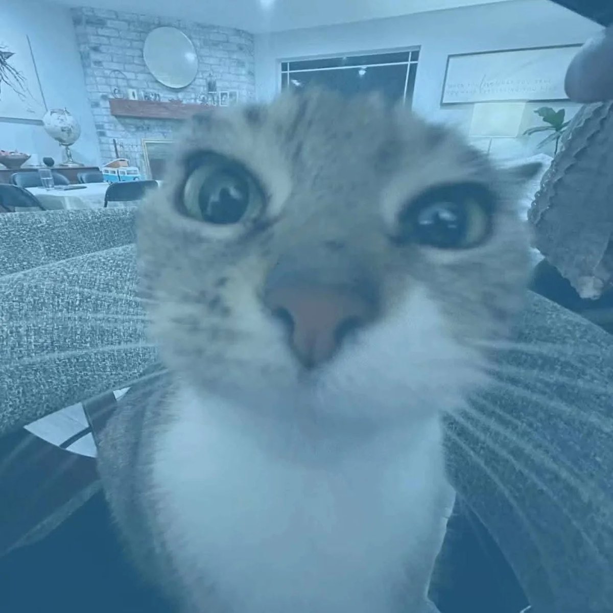 catofsouls's tweet photo. https://t.co/ZiWSBY1F4n