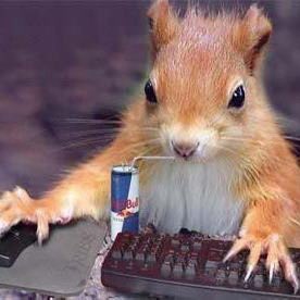 pyopyopyopyo (。• ᵕ •。) tweet media