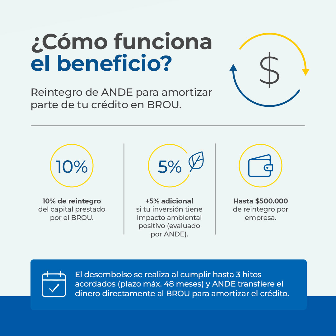 BROU_uy's tweet photo. Un nuevo impulso para que las Mipymes lleguen lejos.
Junto a ANDE incorporamos una nueva herramienta que permite acceder a un cashback para amortizar parte de créditos BROU destinados a inversiones productivas o tecnológicas.

Este beneficio se suma a las herramientas e instrumentos que ya forman parte del acuerdo, fortaleciendo el apoyo a las mipymes y su desarrollo.

Informate y postulate antes del 15/08/26 en el sitio web de ANDE.