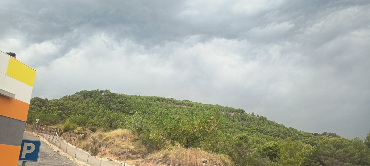 Hardacho tweet picture