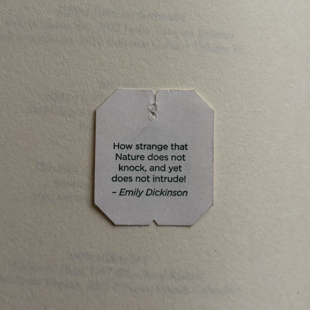 tedeciruelas's tweet photo. encontré a Emily Dickinson en una etiqueta de bolsa de té https://t.co/5smQj2uSVy