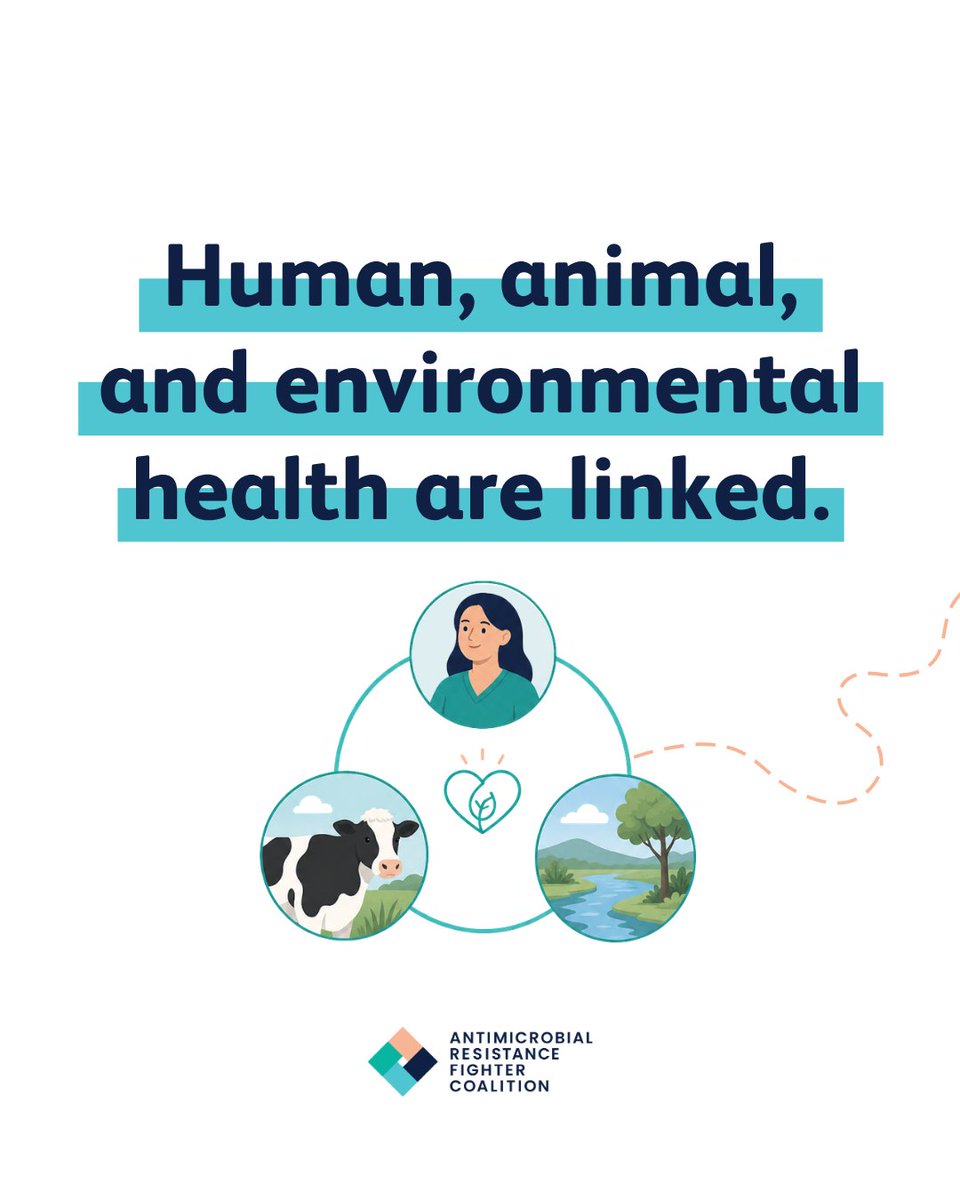 Antimicrobial Resistance Fighter Coalition tweet media