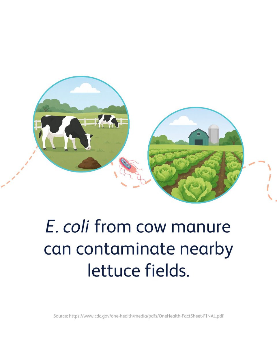 Antimicrobial Resistance Fighter Coalition tweet media