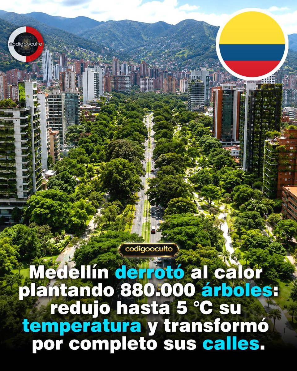 angellombardi's tweet photo. No es Maracaibo https://t.co/31VMVLOEmw