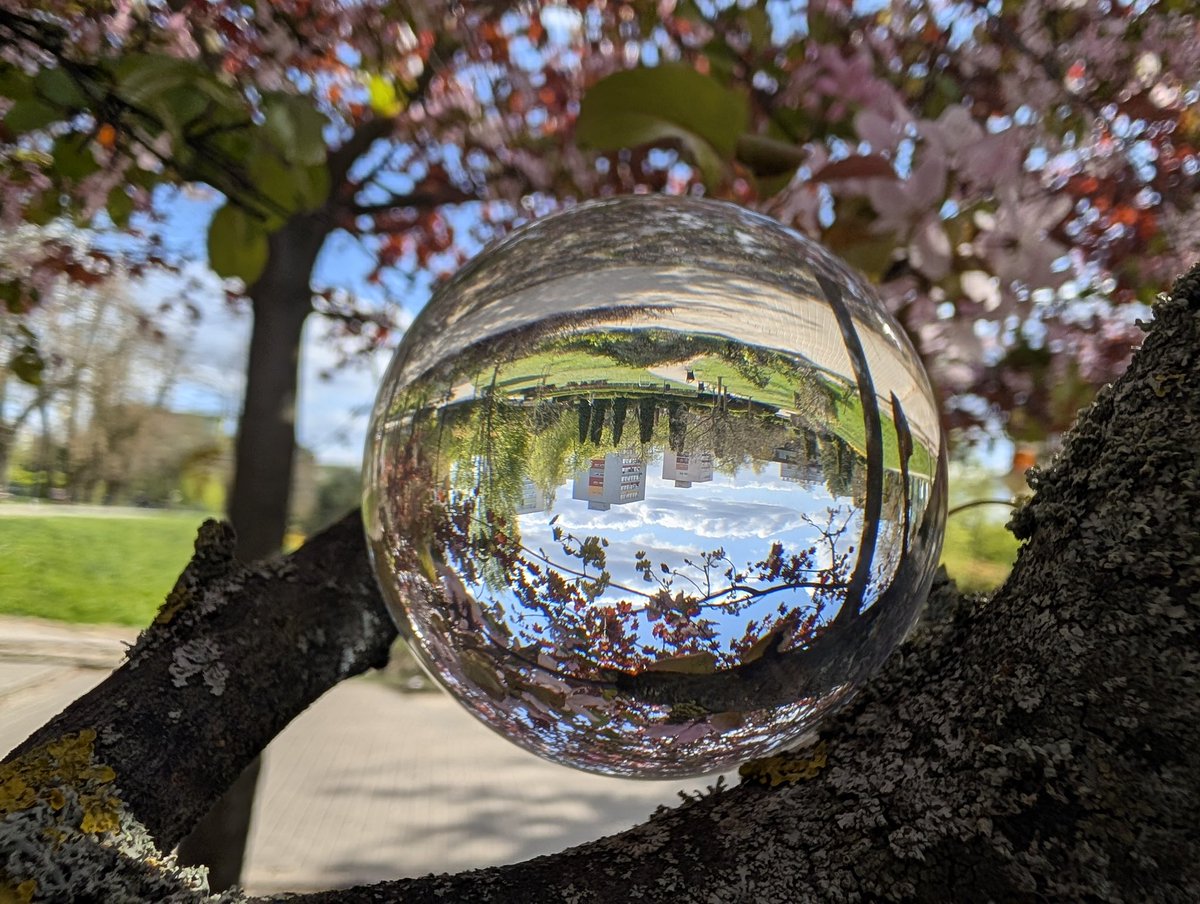 laurinio's tweet photo. @Rob_Wisniewski Konin też pozdrawia! ☺️ To zdjęcie, którym Miłosz wygrał kolejny szkolny konkurs fotograficzny.☺️📸 https://t.co/239spCyrZS