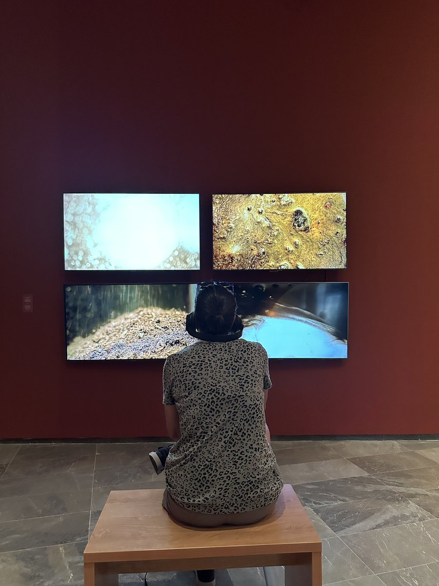 centredelcarme's tweet photo. 📢 Inauguramos ‘Memorias del suelo’, una investigación sobre la superficie terrestre como fuente creativa en prácticas artísticas contemporáneas.

Una reconsideración del papel del suelo como espacio en constante mutación, vivo y contenedor de memorias.

🗒️ Hasta el 4 de octubre. https://t.co/NWjM9ZUEpB