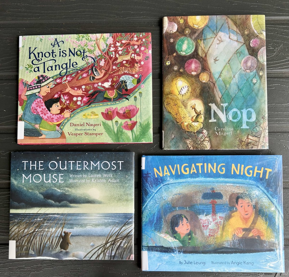 angeladegroot8's tweet photo. This week’s Fab Four!
#kidlit #picturebooks #joyofreading #libraries https://t.co/bwboDmVAXO