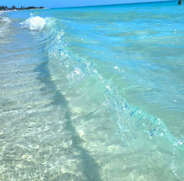 petalesblancs's tweet photo. calm of blue https://t.co/nkD5KZb4wR