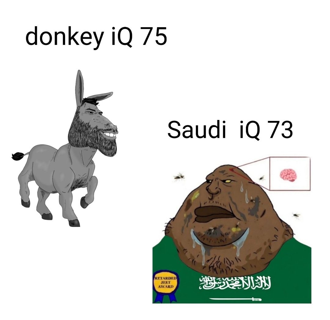 systemerrorme's tweet photo. بكل مرة أشوف الأشكال اللي هنا أتأكد أن اللي مسوي الميم هذا شخص فاهم وعنده بعد نظر https://t.co/u9ZqXgFxco