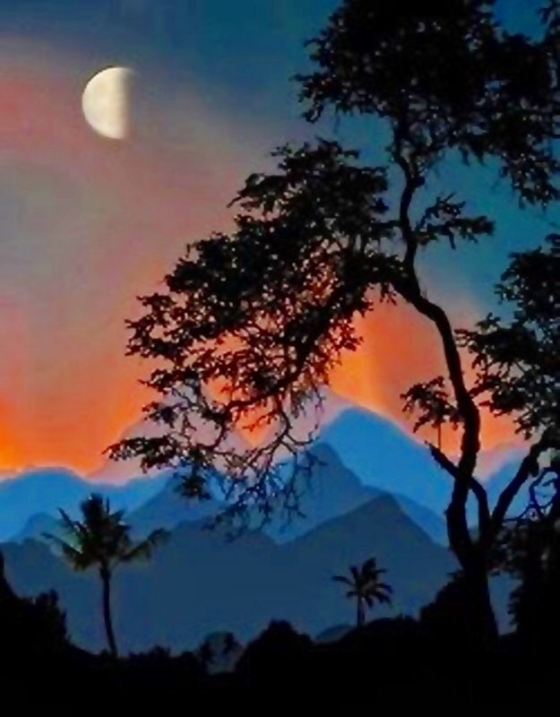 thasanee66's tweet photo. Good night my friends 😴🌙

🩵🦋🩵〰️🩵🦋🩵〰️🩵🦋🩵
🩵      Beautiful dreams      🩵
🩵🦋🩵〰️🩵🦋🩵〰️🩵🦋🩵 https://t.co/65thhGQcsy