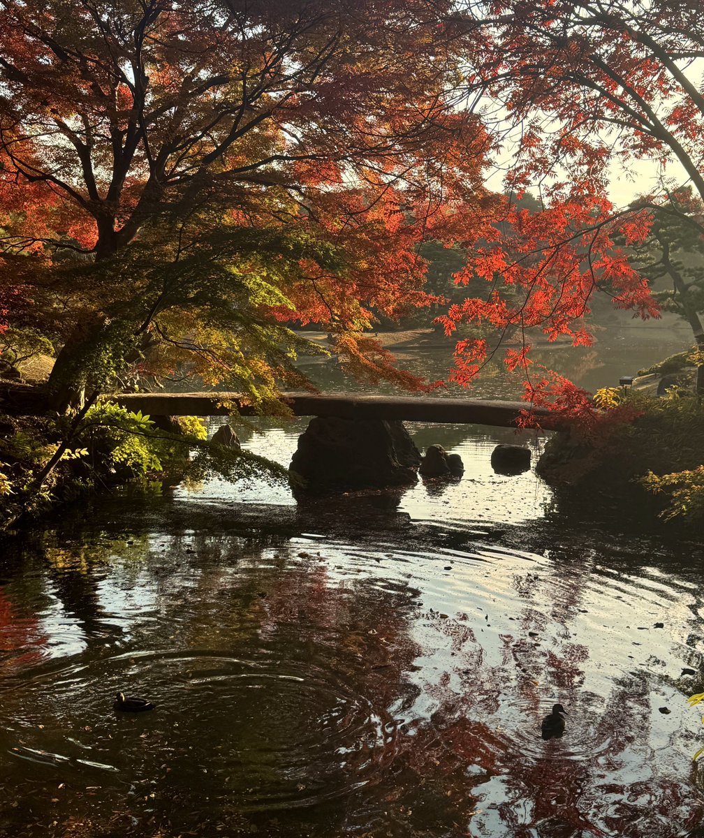 mygetawayhere's tweet photo. back to autumn https://t.co/byBtRfCNpR
