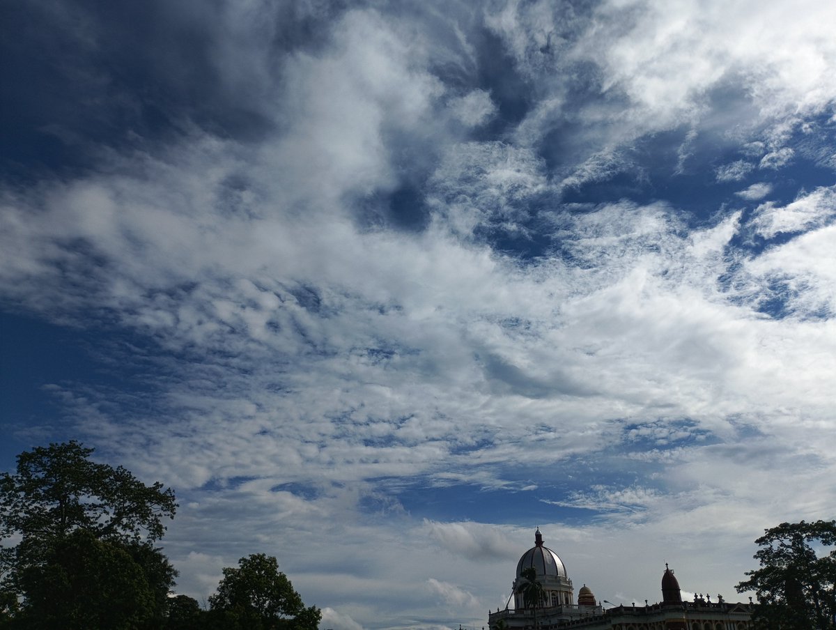SomyuktaRoy's tweet photo. Awwwww 😍😍😍😍
Clicked this a few days back .

#mobilephotography 
#naturelovers
#skyview https://t.co/9M9PQOjGYE