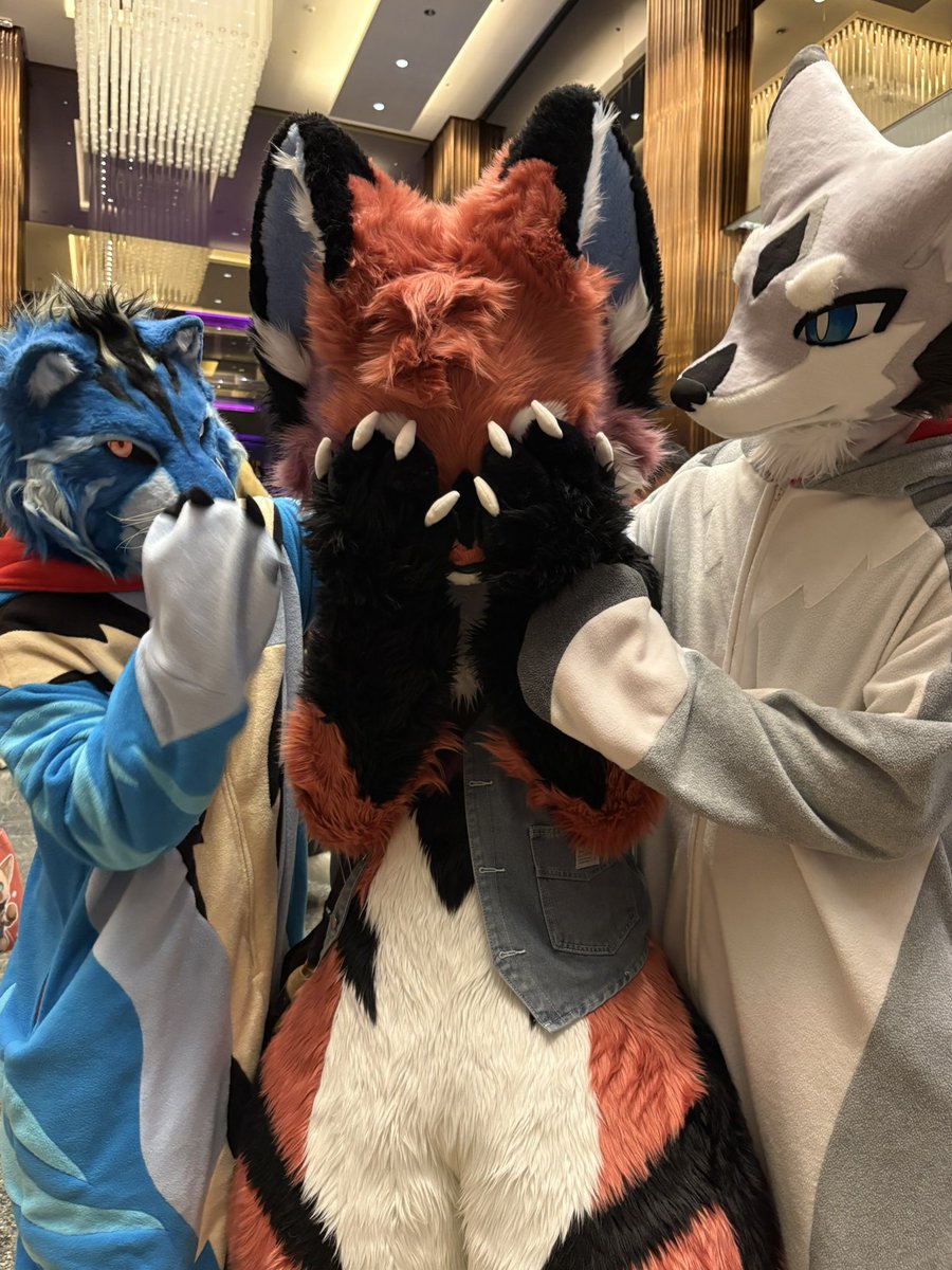 Fox_pups's tweet photo. @SharkAlain01 @KMN_NANO @drawg_t Come join the KUSi/D_WORKS pajama party! 🦊😛🤤 https://t.co/E4enDNoH8i