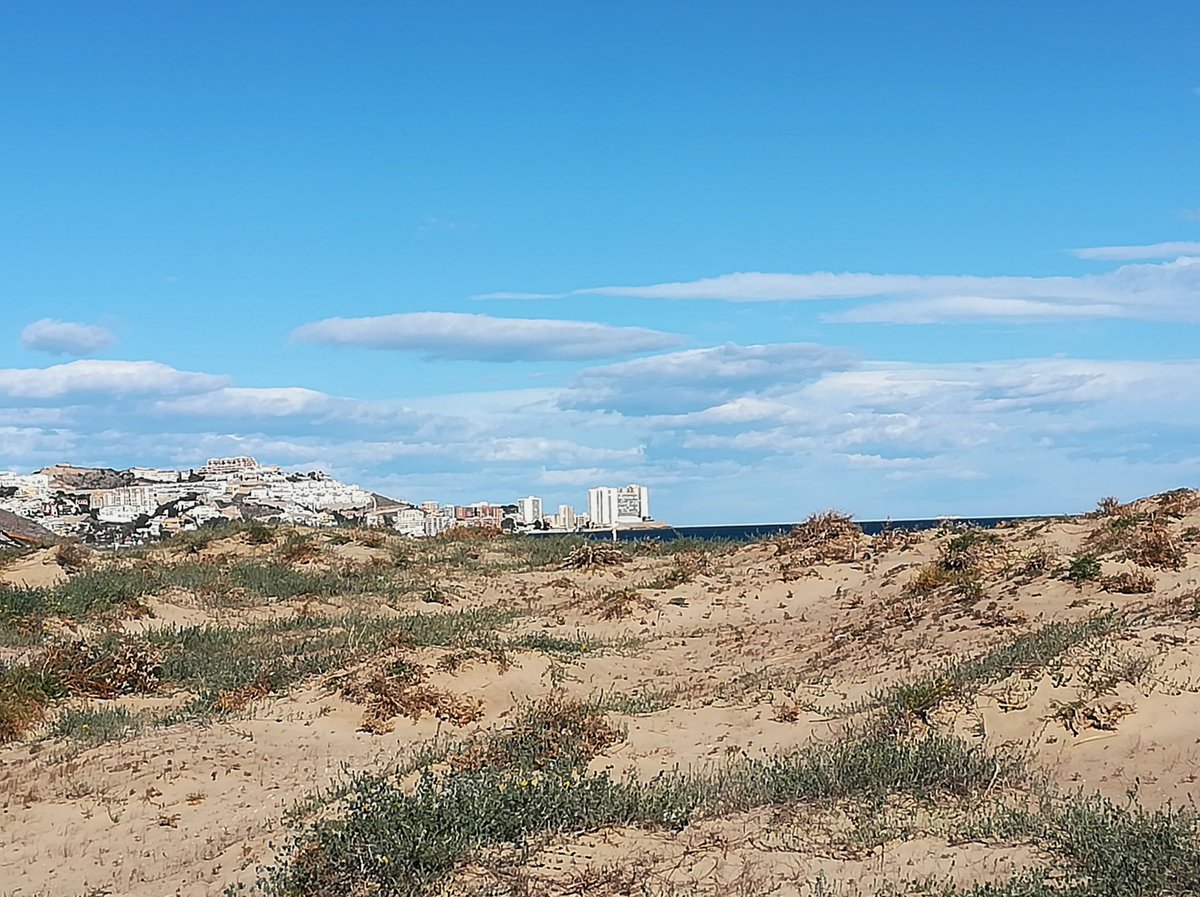 RobertoCMartin's tweet photo. 191/365: Las dunas de #Cullera son un refugio natural donde arena, mar y vegetación conviven en armonía. Un rincón perfecto para pasear, desconectar y disfrutar de la belleza del #Mediterráneo. https://t.co/SKp6cghmNC https://t.co/11h3rBmXML